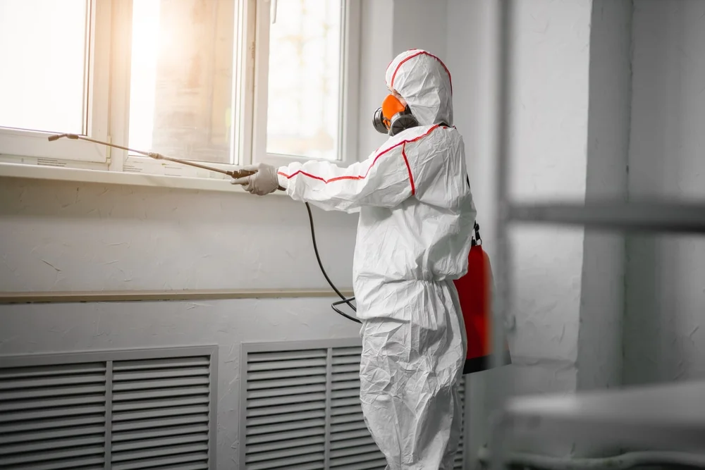 Professional mold remediation services in Woodbury, NY